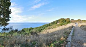 Bluff trail overlooking Puget Sound at Discovery Park